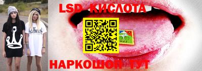 гидропоника Ликино-Дулёво