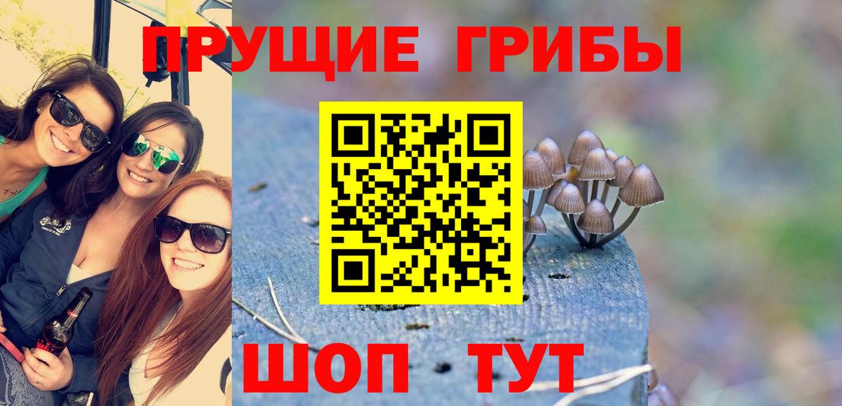 Галлюциногенные грибы Cubensis  Вход с VPN  Тула 